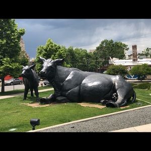 Meet your Posher, Diane